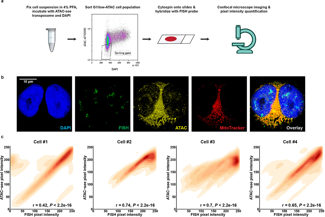 Extended Data Figure 6 |