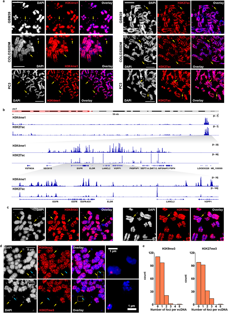 Extended Data Figure 4 |