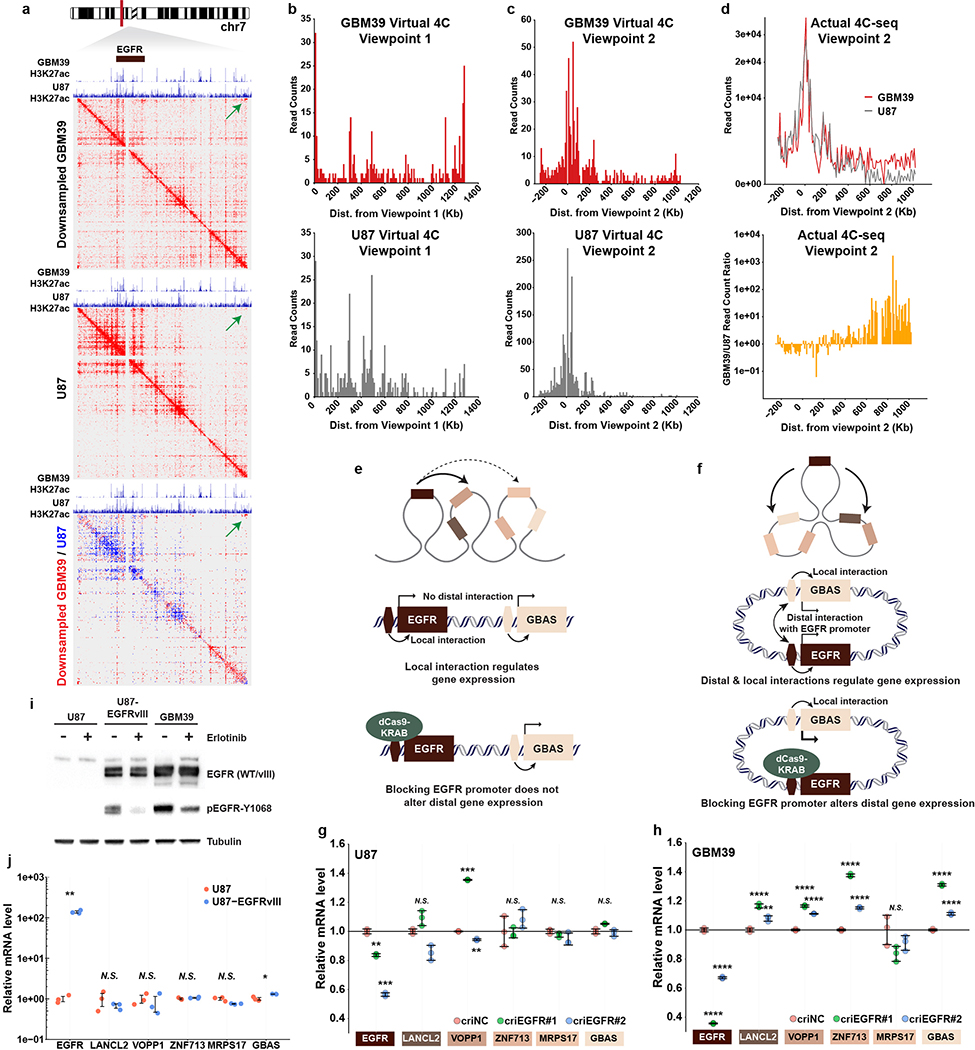 Extended Data Figure 10 |