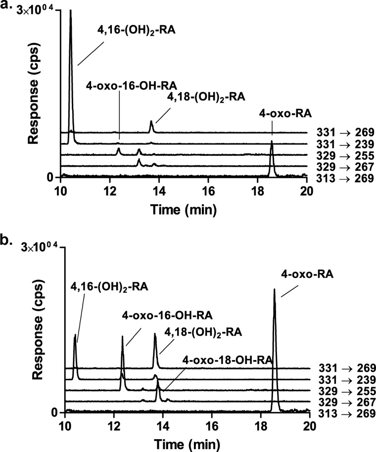 FIGURE 4.