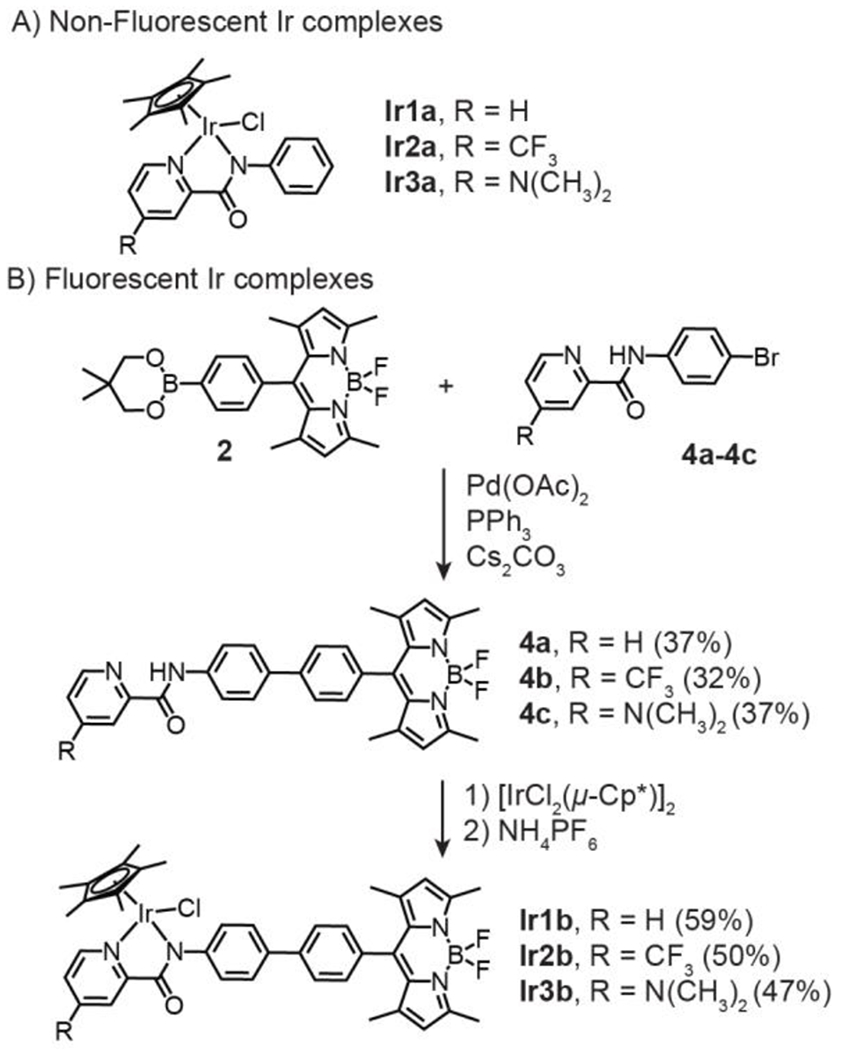 Scheme 2.