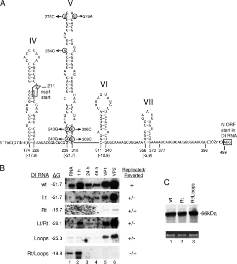 FIG. 2.