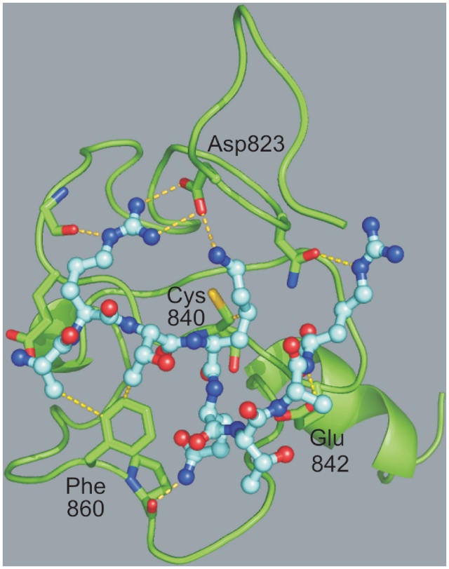 Figure 4.