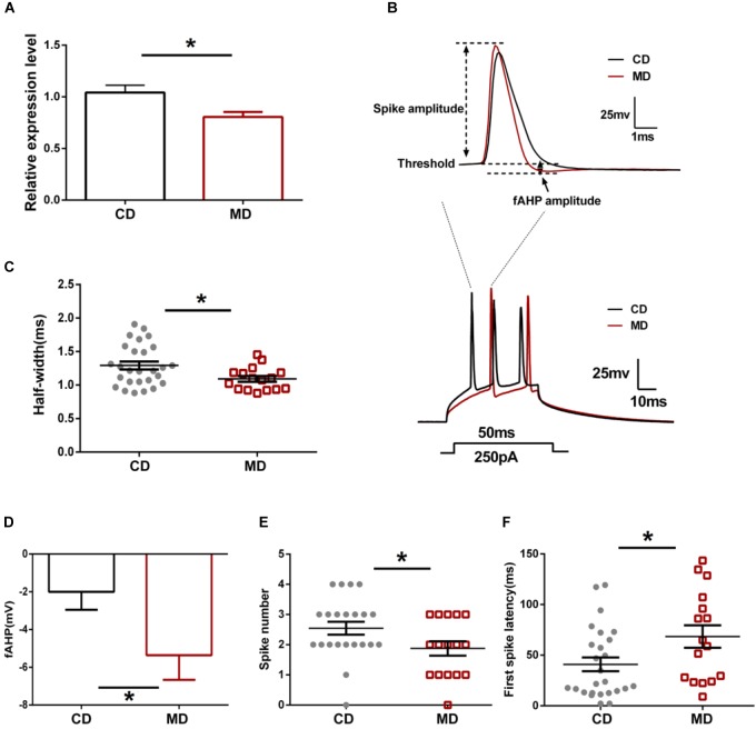 FIGURE 1