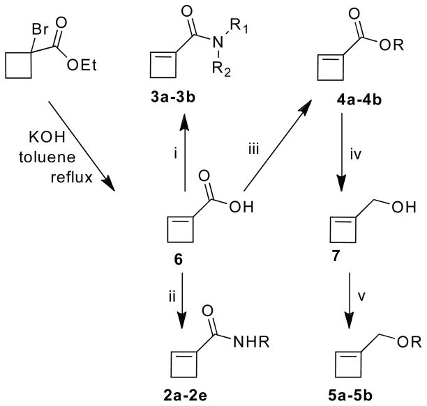 Scheme 3