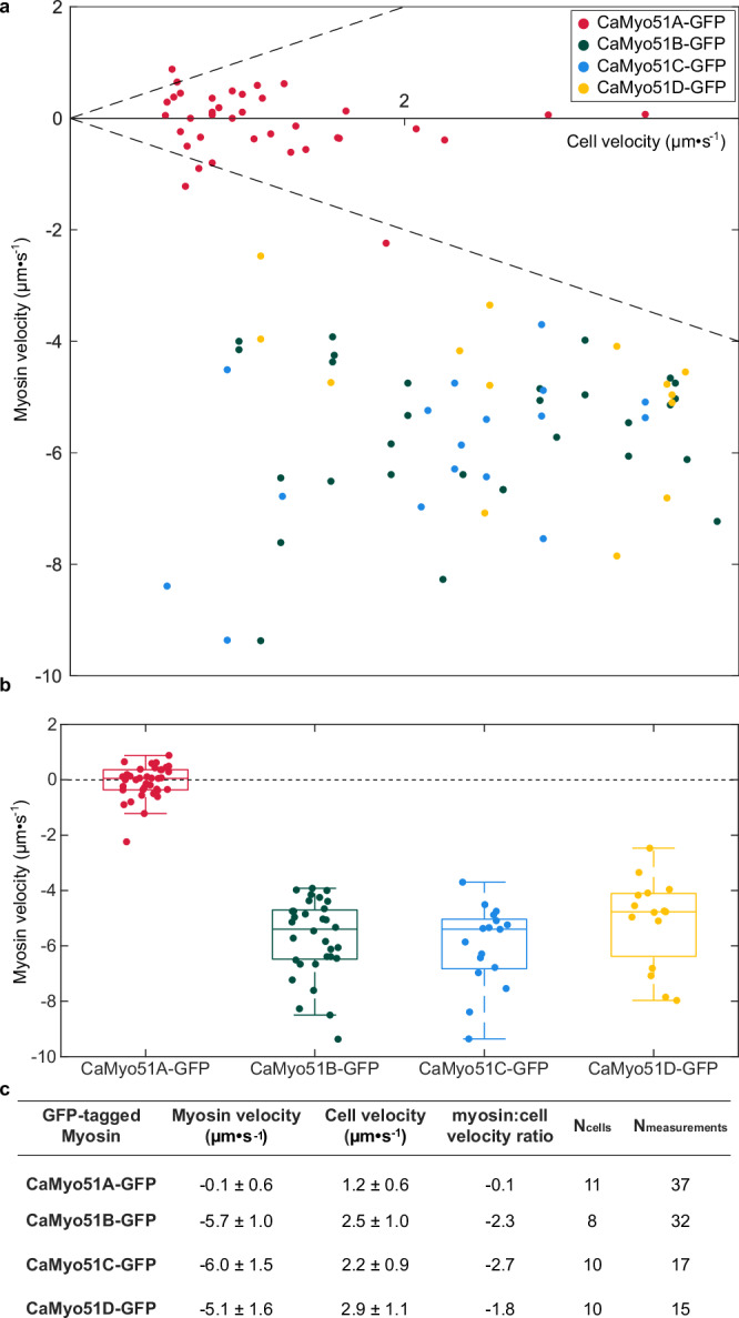 Fig. 4