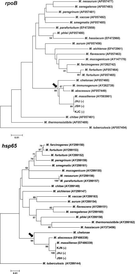 FIG. 1.