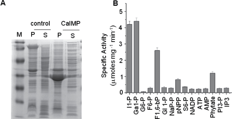 Fig. 3.