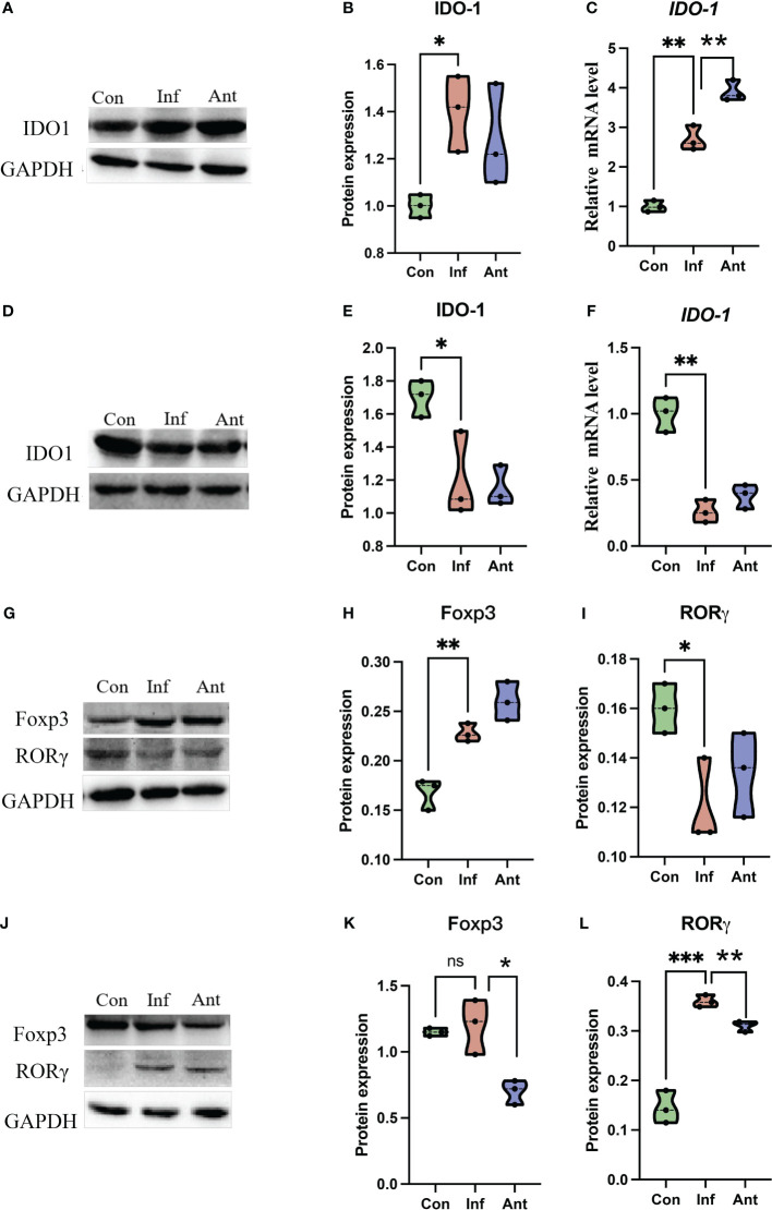 Figure 6