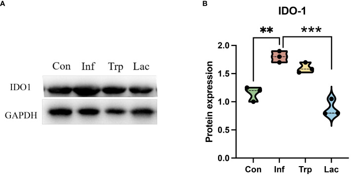 Figure 11