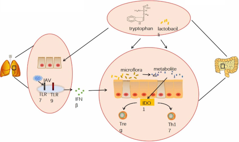 Figure 12