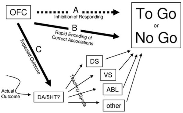 FIGURE 1