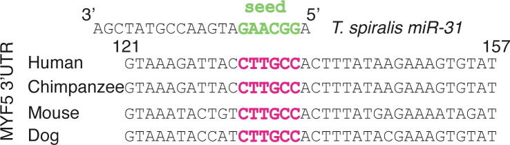 Supplementary Fig. S2