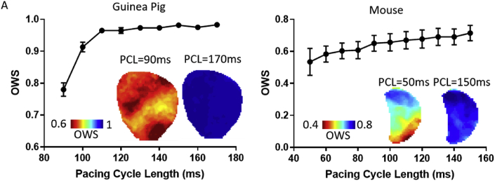 Fig. 3