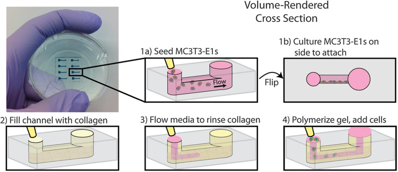 Figure 6: