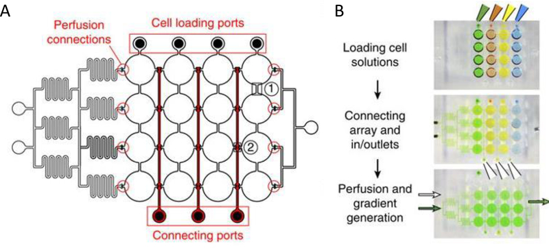 Figure 3: