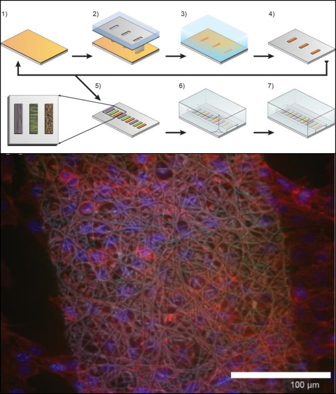 Figure 10: