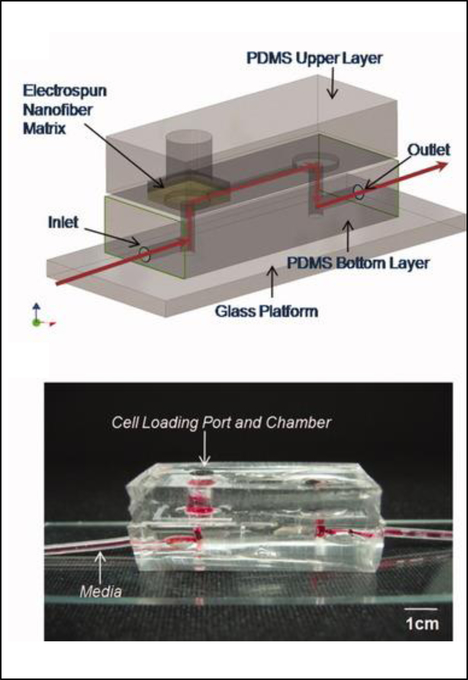 Figure 9: