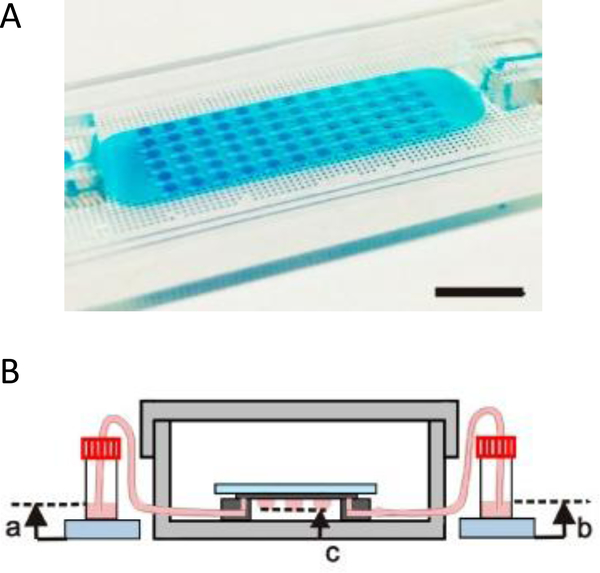 Figure 2: