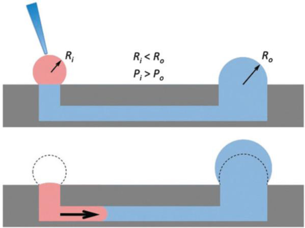 Figure 4: