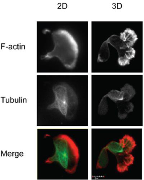 Figure 13: