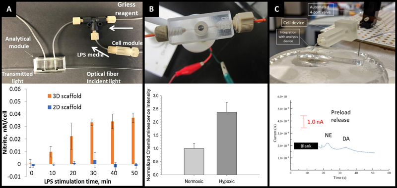 Figure 15: