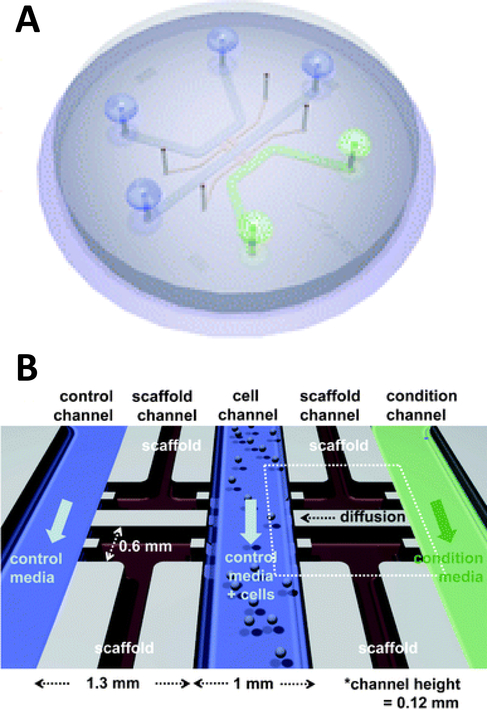 Figure 5: