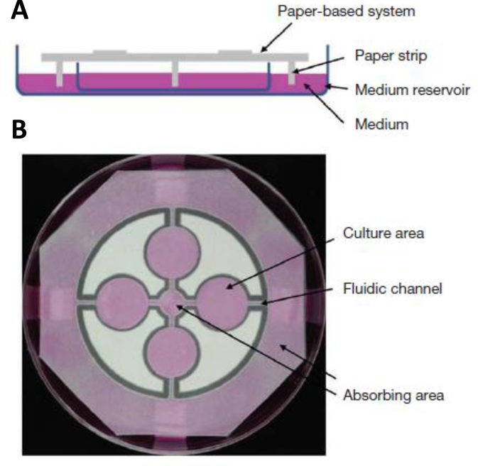 Figure 7: