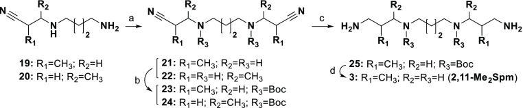 Scheme 2