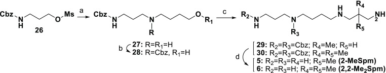 Scheme 3