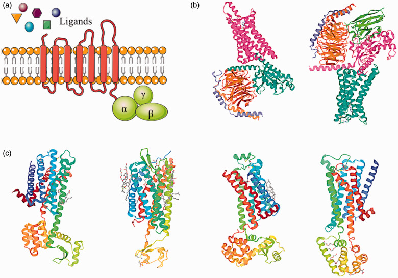 Figure 1.