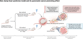 Graphical Abstract