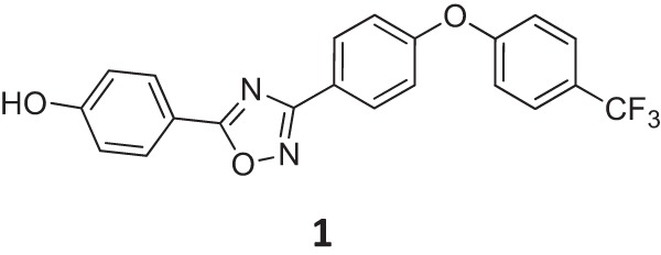 FIG 1