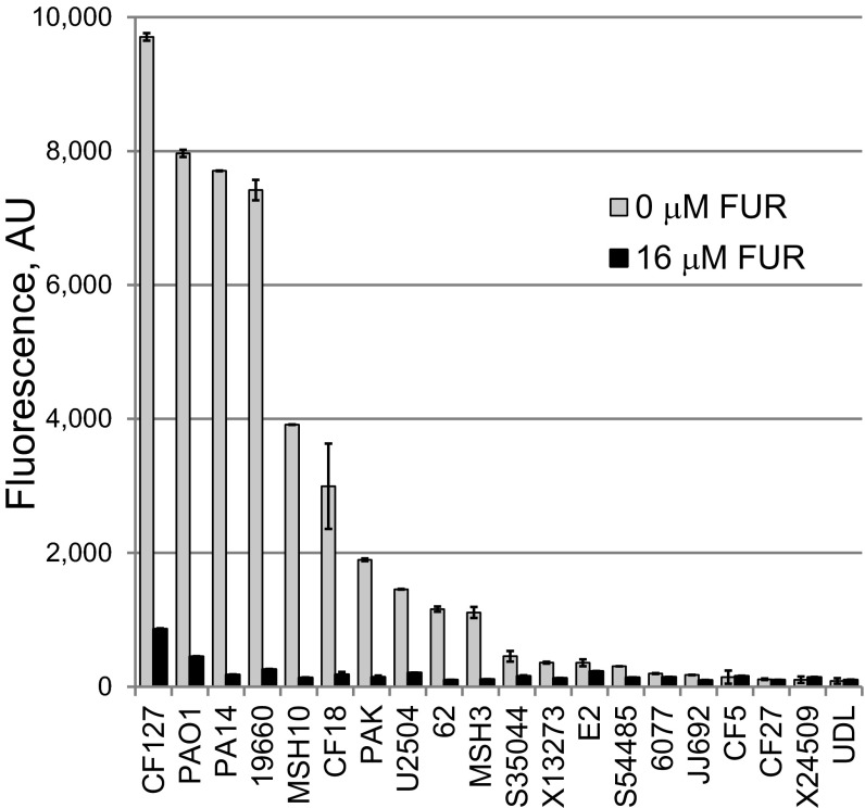 FIG 6 