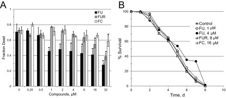 FIG 7 