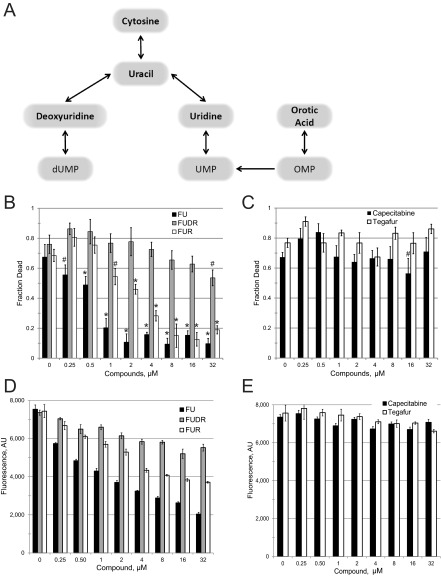 FIG 3 