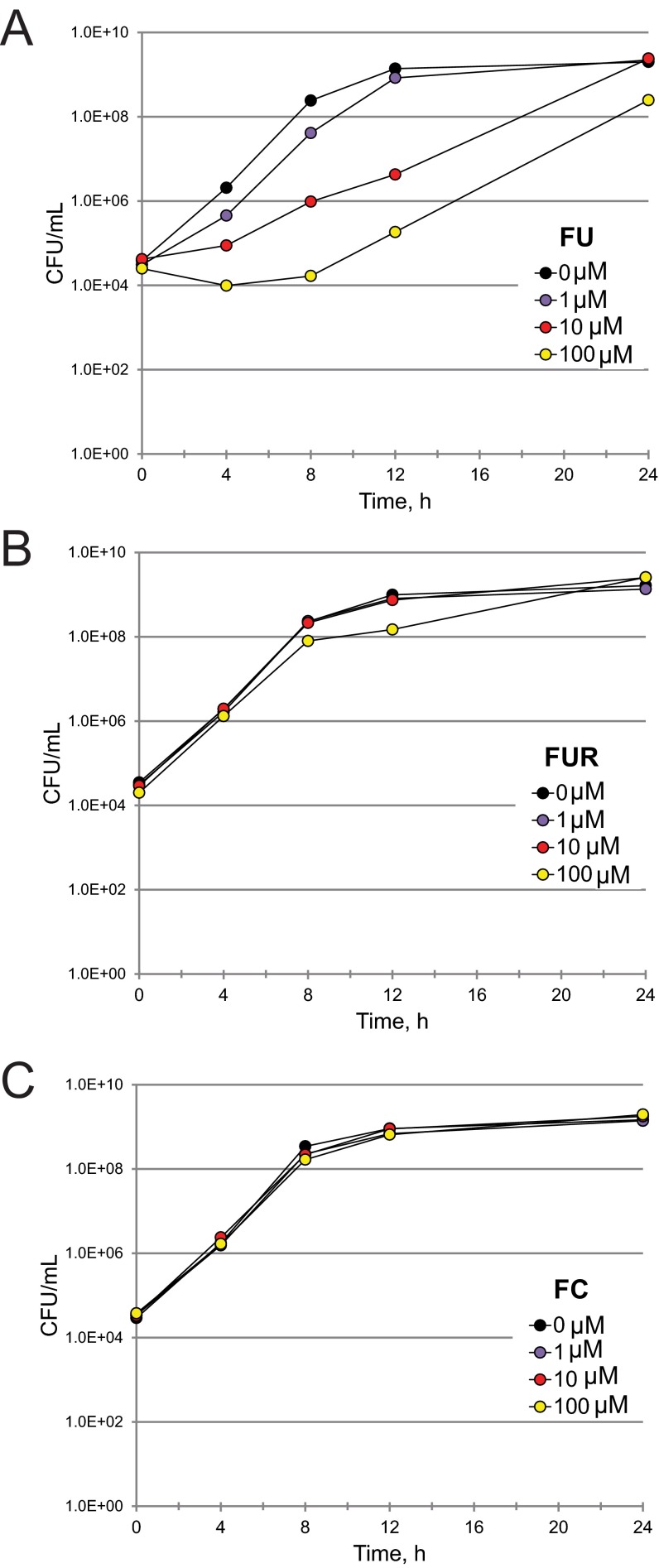 FIG 4 