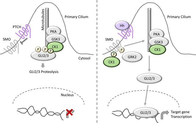 Figure 5.