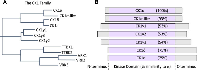 Figure 1.