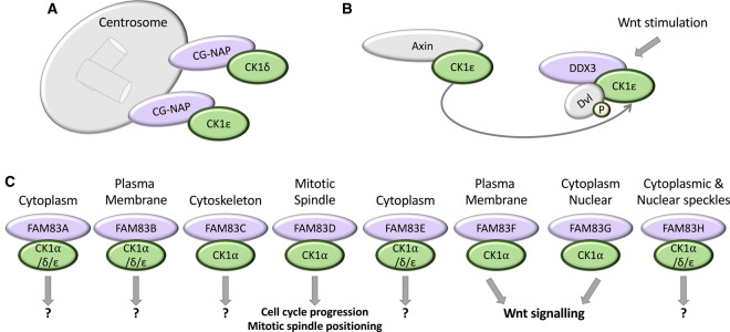 Figure 2.