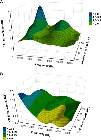 FIG. 6