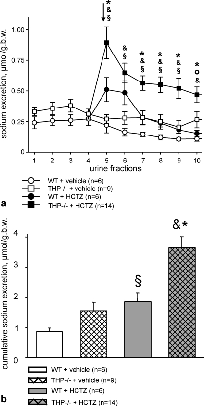 FIGURE 9.