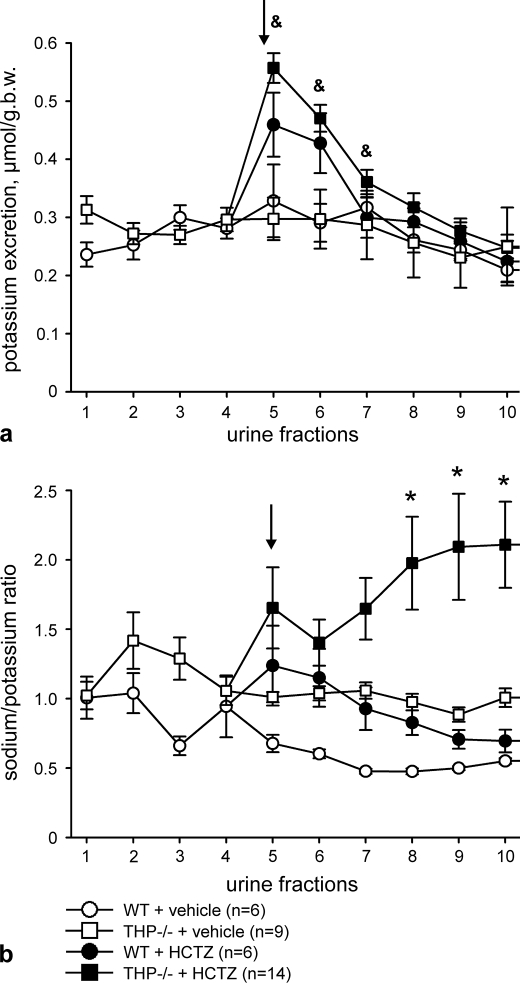 FIGURE 10.