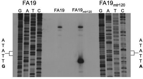 FIG 2 