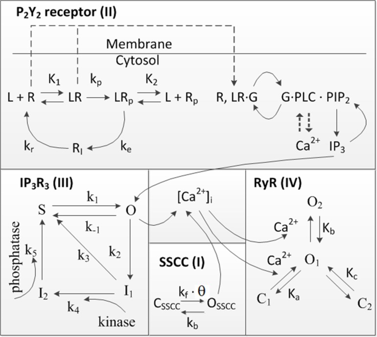 Fig 3