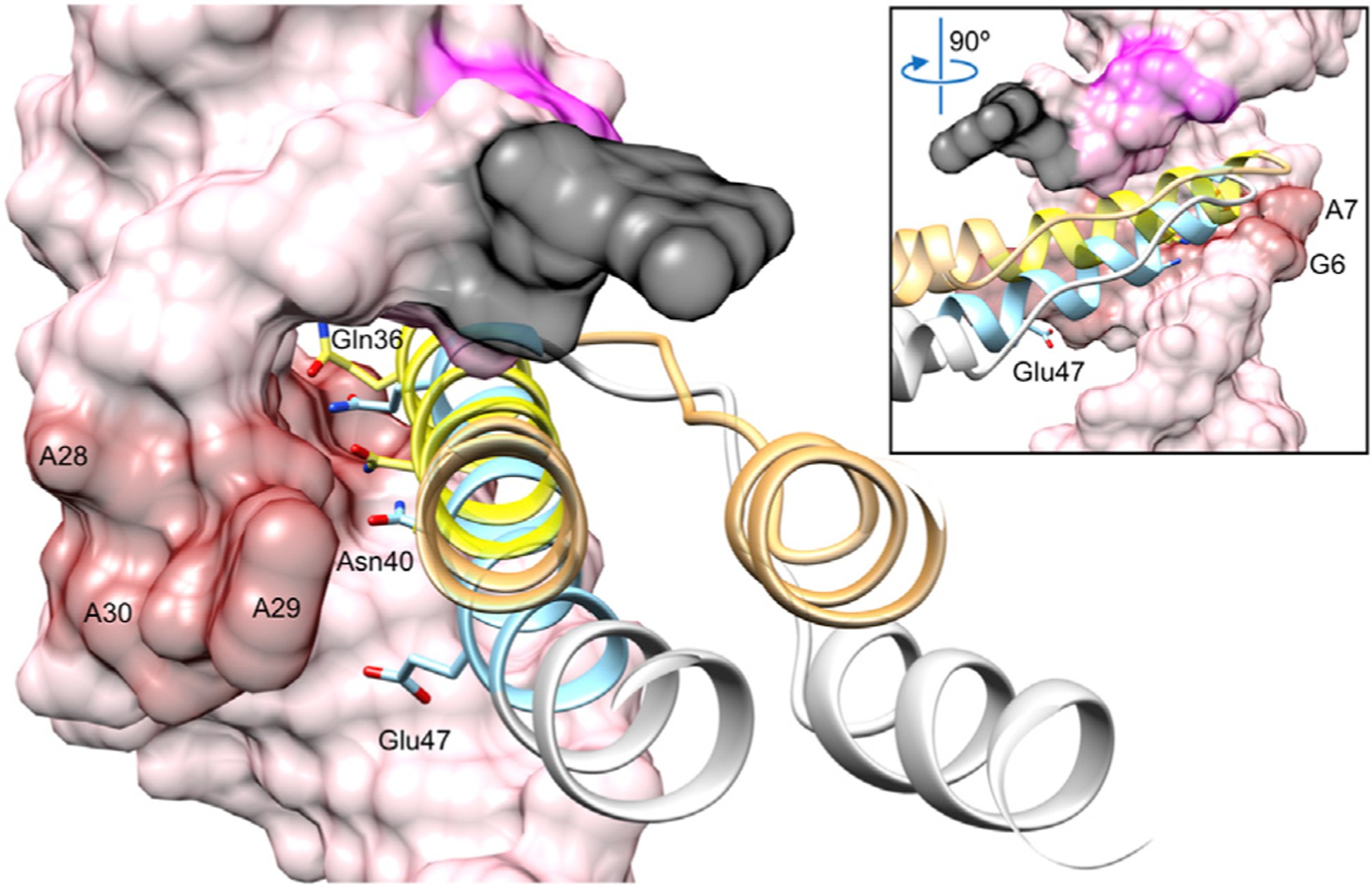 Figure 4.