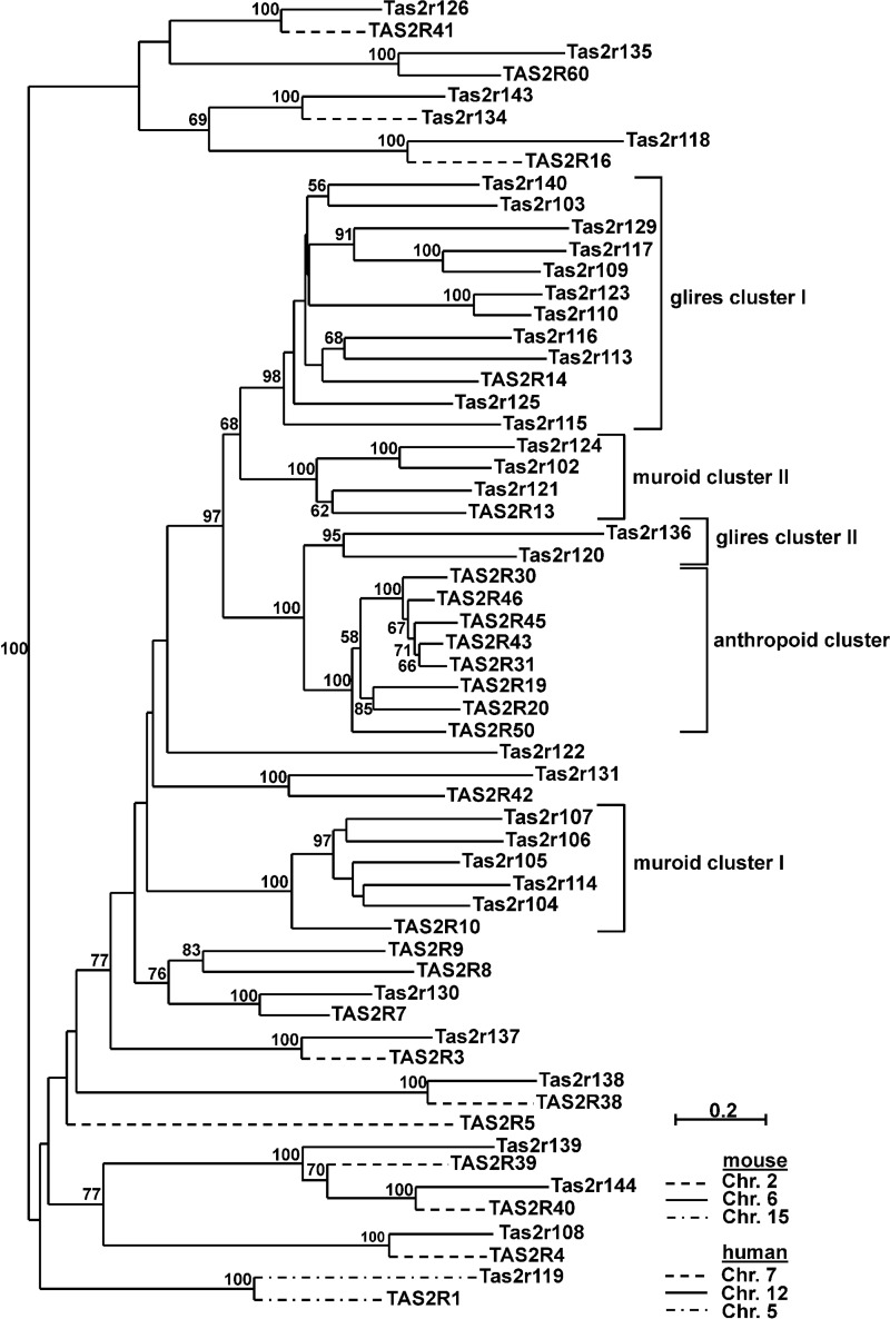 FIGURE 6.