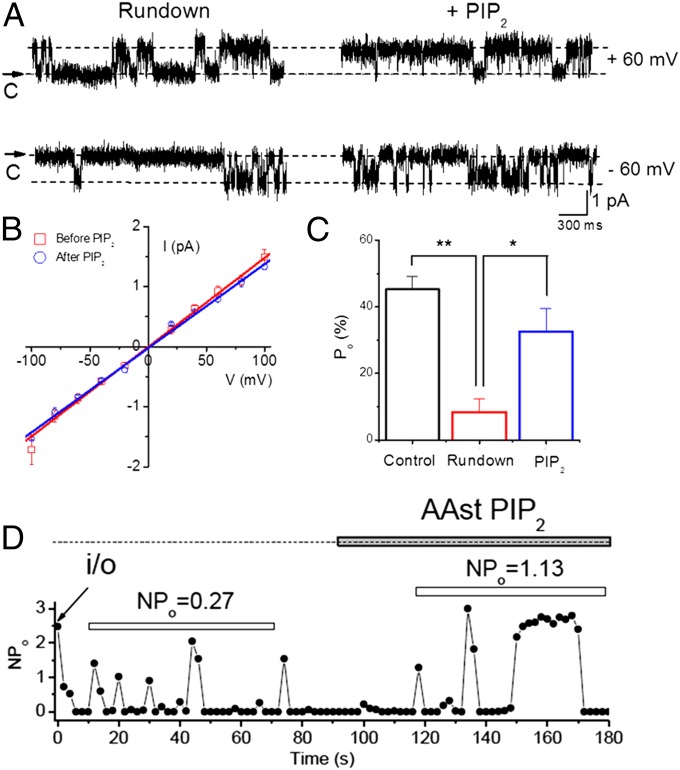 Fig. 6.