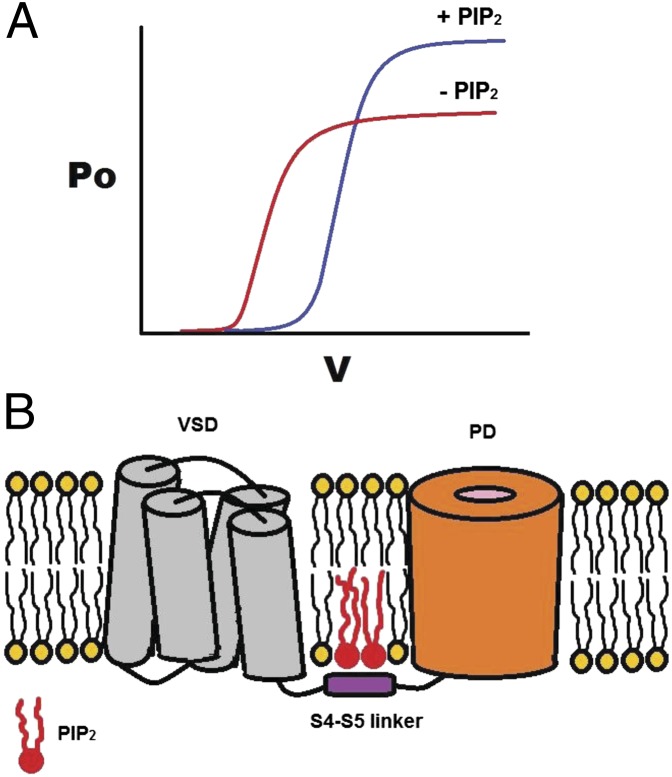 Fig. P1.