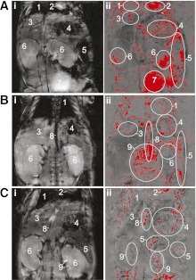 FIG. 2.